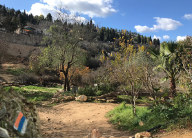 תמונה לתפריט פנימי ראשי חגים - קטן יותר_20240408152024.657.png